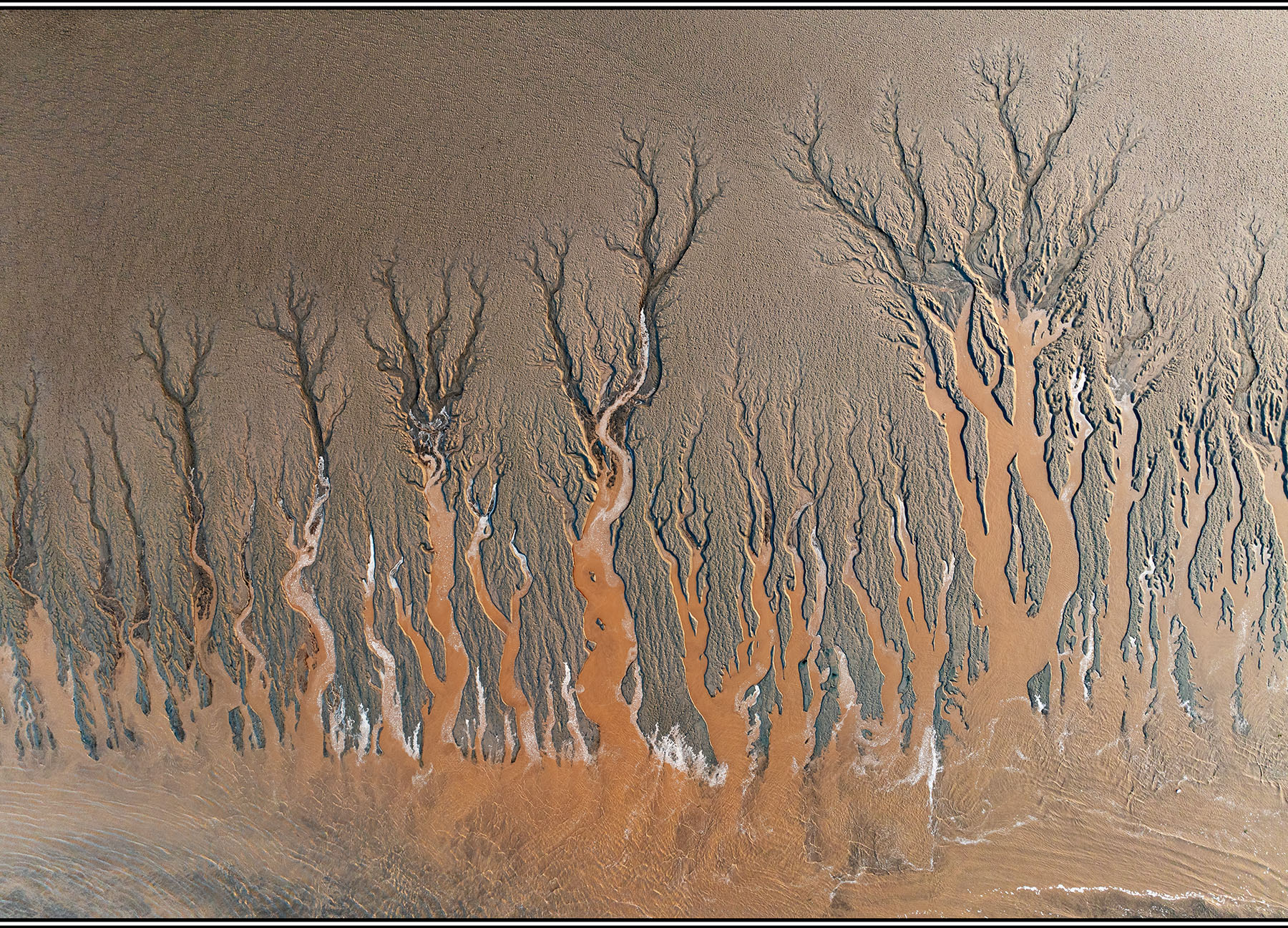 ÷�� ����