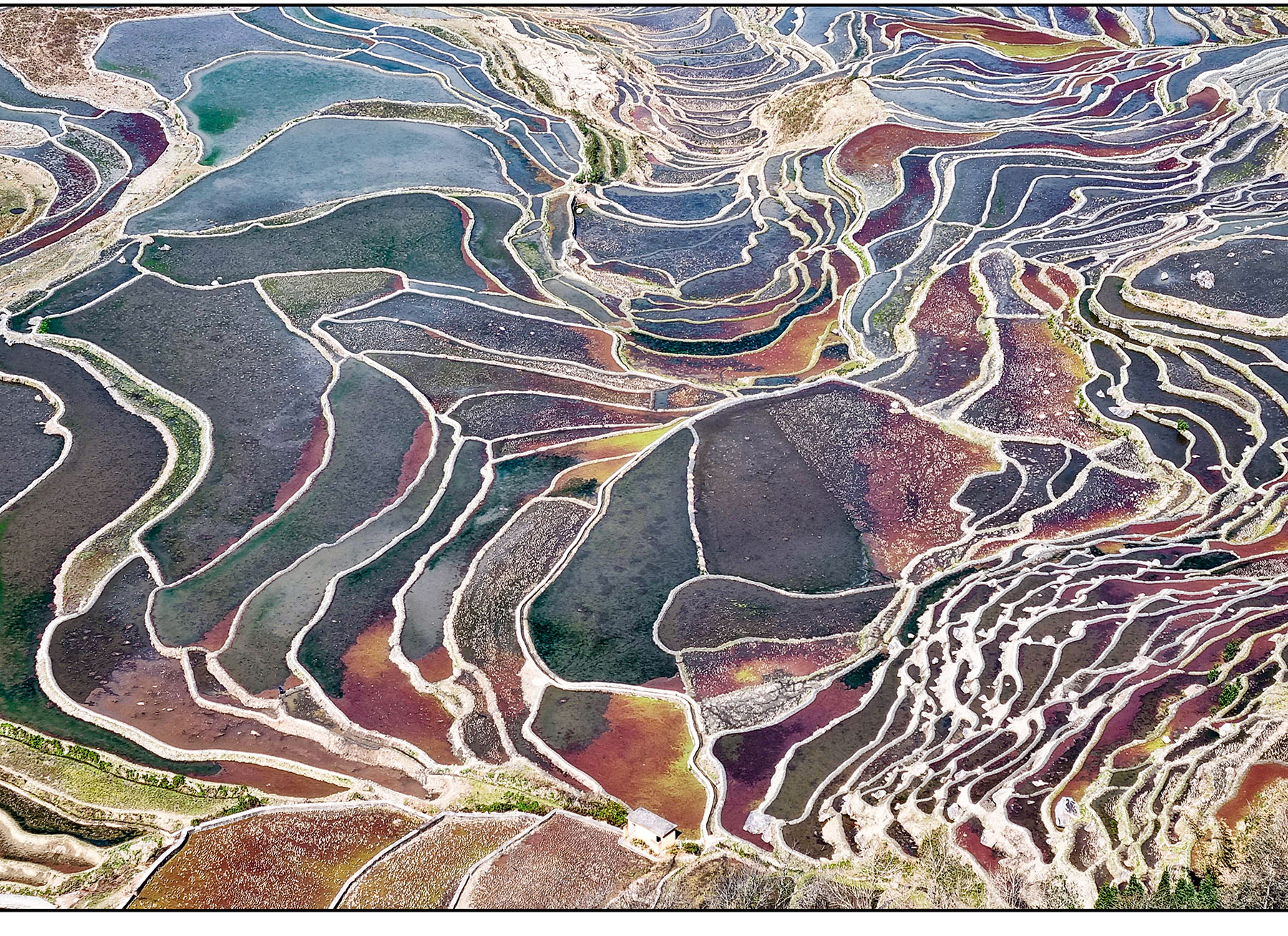 ÷�� ����