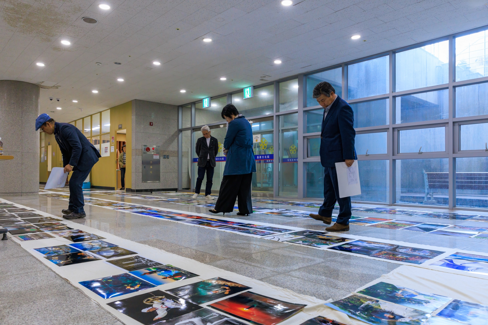 ÷�� ����